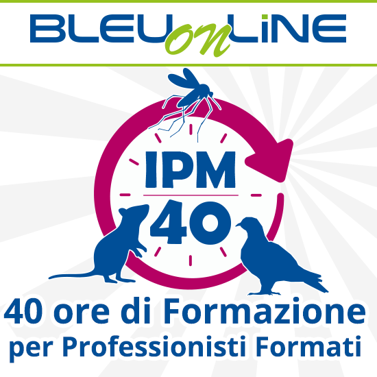 Progetto formativo <br> IPM 40