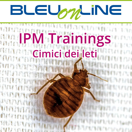 Corso on-line <br>IPM Trainings cimici dei letti