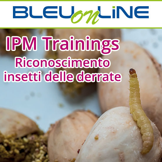 Corso on-line <br>IPM Trainings riconoscimento insetti delle derrate