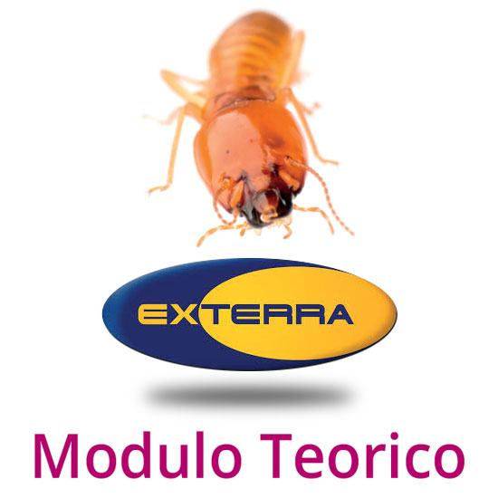 Riconoscimento delle specie di termiti italiane e gestione metodo exterra.