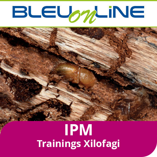 Corso on-line <br>IPM Xilofagi