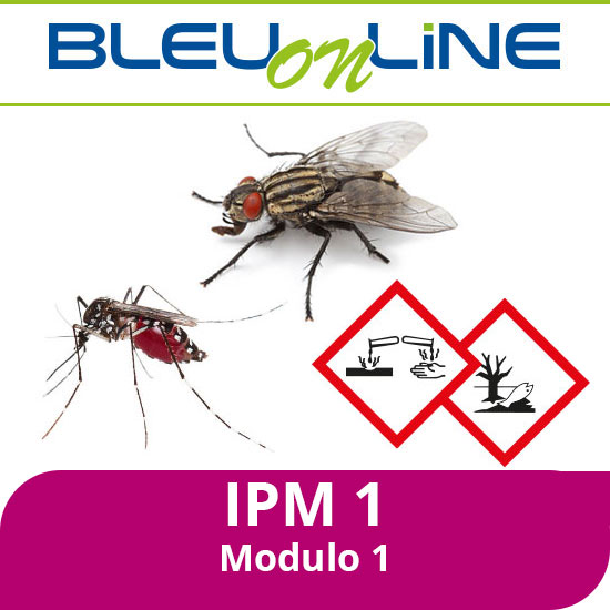 Corso on-line <br> IPM 1 modulo 1