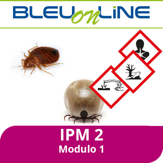 Corso on-line <br> IPM 2 modulo 1