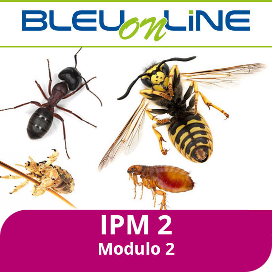 Corso on-line <br> IPM 2 modulo 2