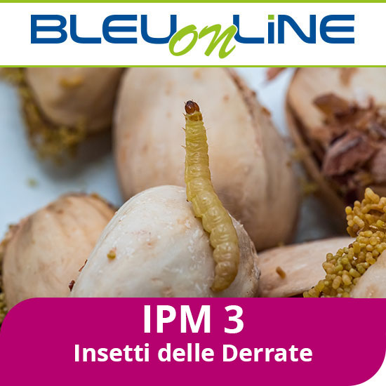 Corso on-line <br>IPM 3