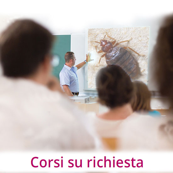 Corsi su richiesta