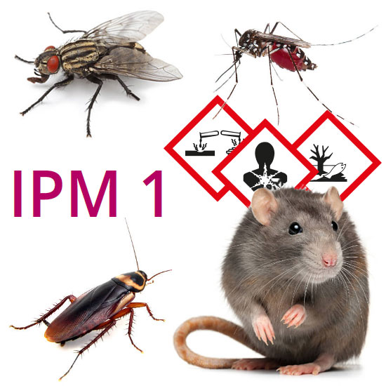IPM 1 Corso base degli infestanti e bio-etologia e gestione delle mosche, zanzare, blatte, roditori.