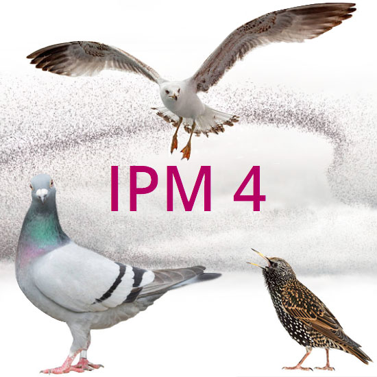 IPM 4 per la gestione e prevenzione dei principali uccelli sinantropici ed indesiderati.