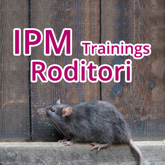 Gestione dei roditori sinantropici (ratti e topi), rodenticidi anticoagulanti (in conformità alle nuove etichette “trained professional”).