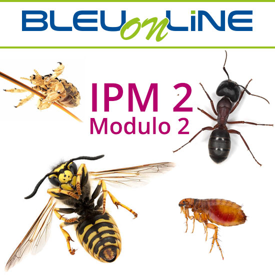 Corso on-line <br> IPM 2 modulo 2