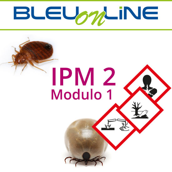 Corso on-line <br> IPM 2 modulo 1