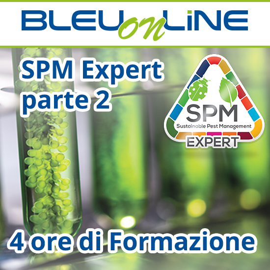 Corso on-line <br> SPM Expert – Parte 02