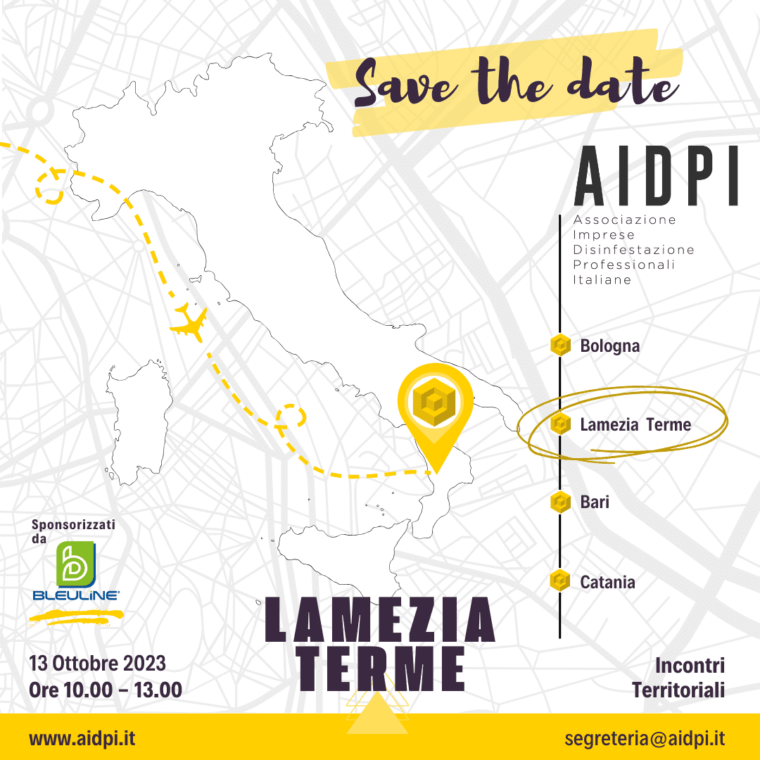 Incontri territoriali 2023 AIDIP - Lamezia Terme