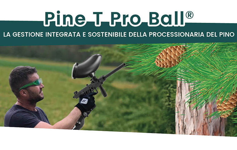 Pine T pro Ball