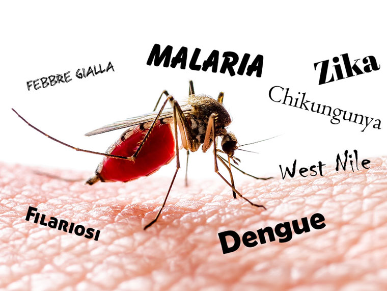 20 agosto 2020 - Giornata mondiale della zanzara