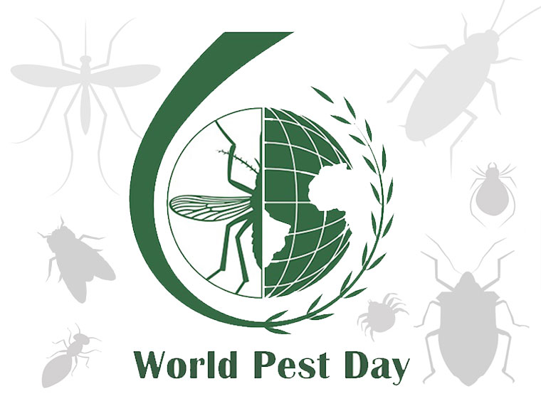 world pest day