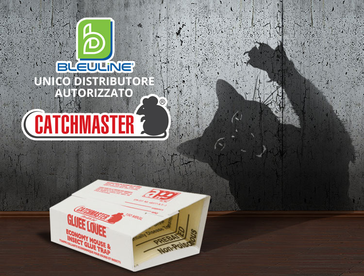 Catchmaster - Colle di altissima qualità per la cattura di insetti e topi