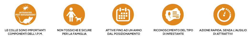 Caratteristiche delle colle Catchmaster