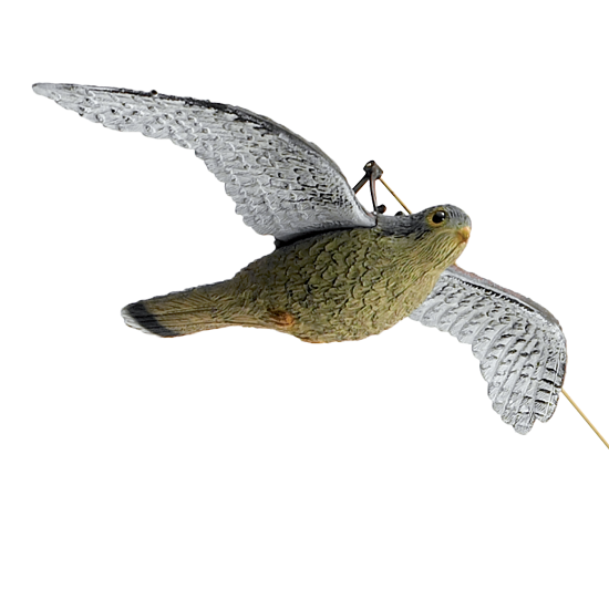Disponibile nelle due versioni: Falco in volo e Falco pellegrino posato su roccia.