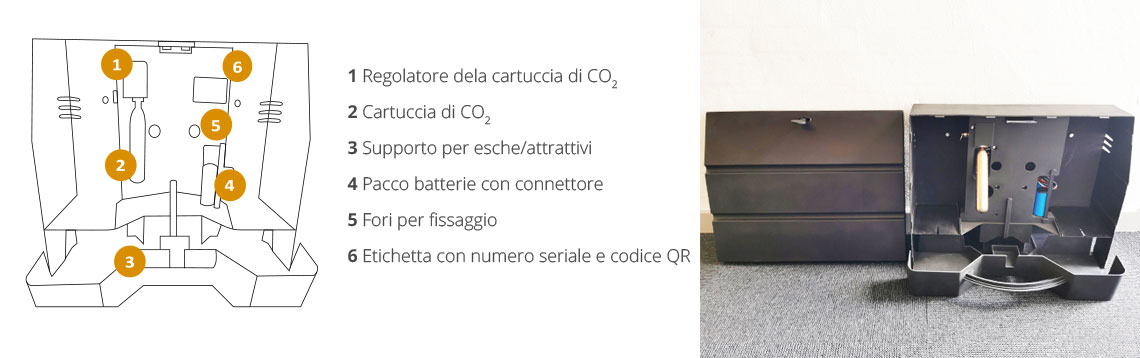 Aurotrap Collect interno della trappola
