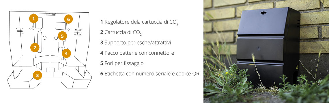 Aurotrap Interno della trappola e posizionamento all'esterno