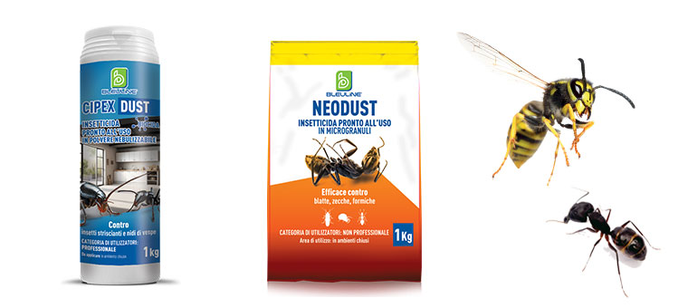 Polveri da utilizzare con DR5