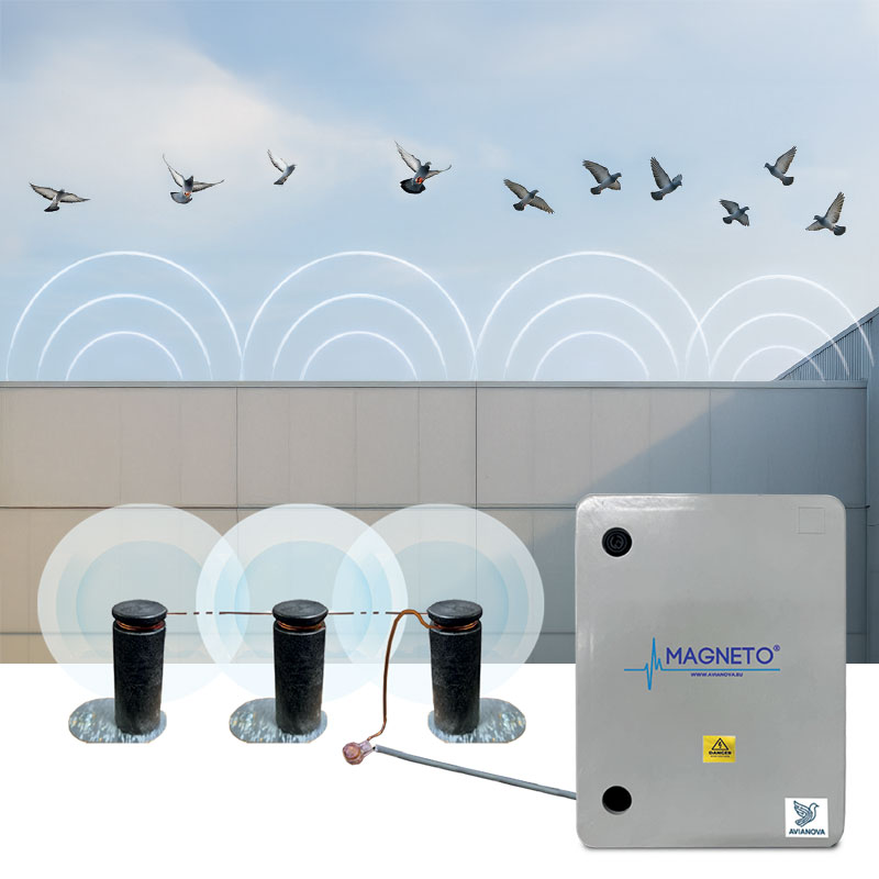 Magneto<sup>®</sup>