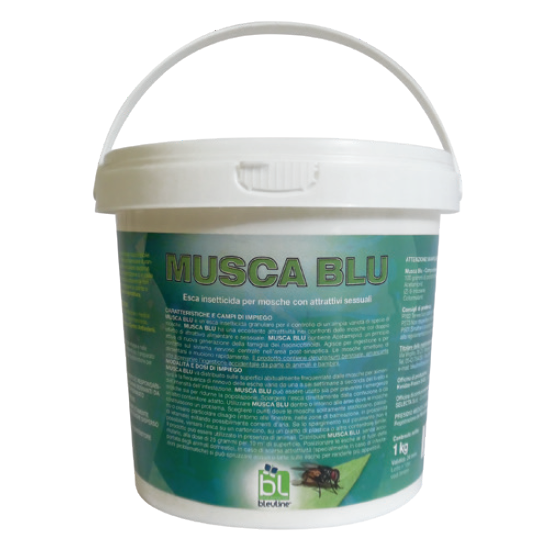 Musca Blu new
